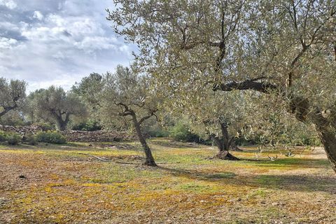 Terreno en Ginestar, Tarragona, Ginestar - € 21.000 | Ref: CC736 - photo 6